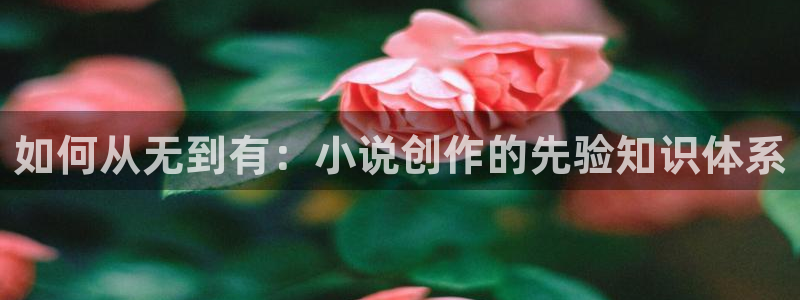 潇湘书院官网：如何从无到有：小说创作的先验知识体系